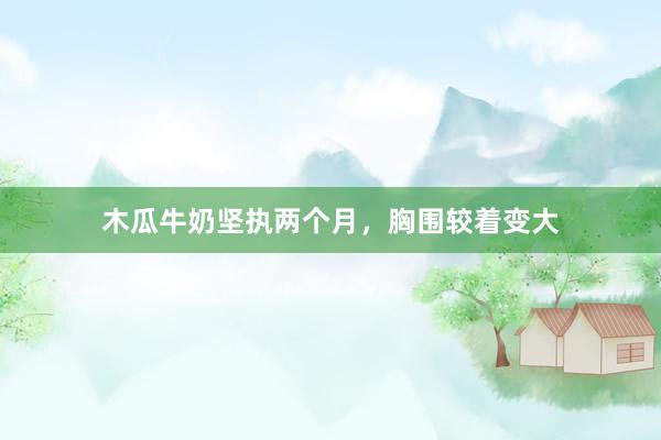 木瓜牛奶坚执两个月，胸围较着变大